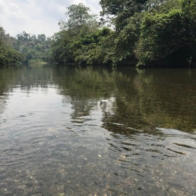 Profile Picture of Miguel Amador Abdala (@amadorabdala) on Twitter