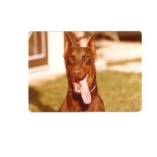 Profile Picture of Harold Nagy (@harold.nagy.5) on Facebook