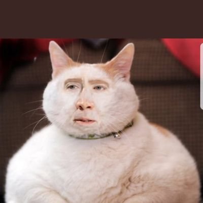 Profile Picture of Johntoher (@johntoher) on Twitter