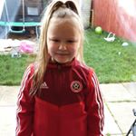 Profile Picture of Jason Inglis (@jason.inglis2) on Instagram
