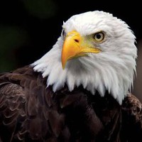 Profile Picture of Shabazz  (@shabazz-4) on Quora