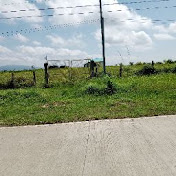 Profile Picture of Lawrence Gabriel (@lawrencegabriel8617) on Youtube