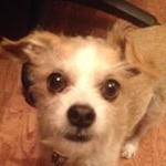 Profile Picture of Jimmy Lemmon (@slimjim200) on Instagram