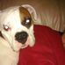 Profile Picture of Spencer Sharp (@spencer.sharp.9822) on Facebook