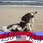 Mike Serafin - Instagram Profile Picture of Mike Serafin (@newfy107) on Instagram