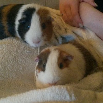 Profile Picture of Kevin&charlie (@kevandcharl) on Twitter