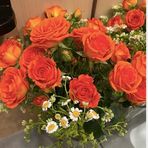 Profile Picture of Lulu Zhao (@Lulu-Zhao) on Facebook