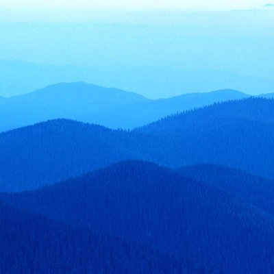 Profile Picture of Bailey Emerson (@BaileyEmerson19) on Twitter