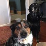 Profile Picture of Aaron Christner (@ac_vegas_) on Instagram