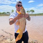 Profile Picture of Justin Tichenor (@justin_tichenor) on Instagram
