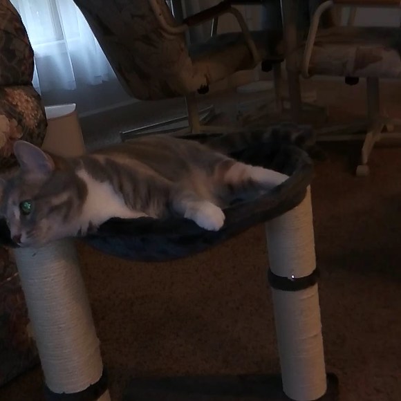 Profile Picture of Janice Bennett (@bennettjanice46) on Poshmark