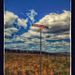 Profile Picture of Joyce Honea (@woundcareassociates1) on Pinterest