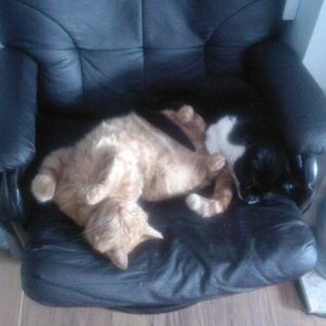 Profile Picture of Dave Mantle (@daveandroger) on Myspace