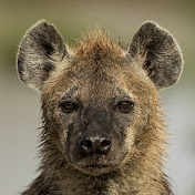 Profile Picture of Jerry Case (@jerrycase) on Youtube