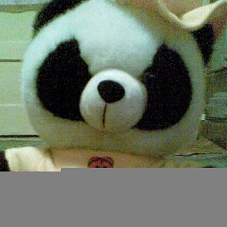 Profile Picture of Bogdan Preda (@bogdan.preda.562) on Facebook