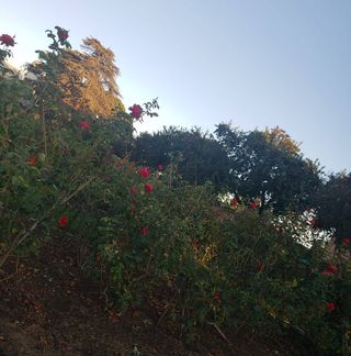 Profile Picture of ALéxandre Brice Vicennt (@alexandre.bricevicennt) on Facebook