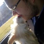 Profile Picture of Kevin Simmerman (@kevinsimmerman) on Instagram