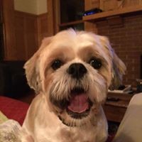 Profile Picture of Joe Bilyeu (@joe-bilyeu-2) on Quora