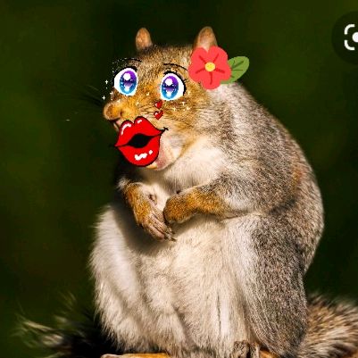 Profile Picture of Rita Micklus (@ritamicklus) on Tiktok