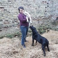 Profile Picture of Michelle Donohue-M (@MichDonohue) on Twitter