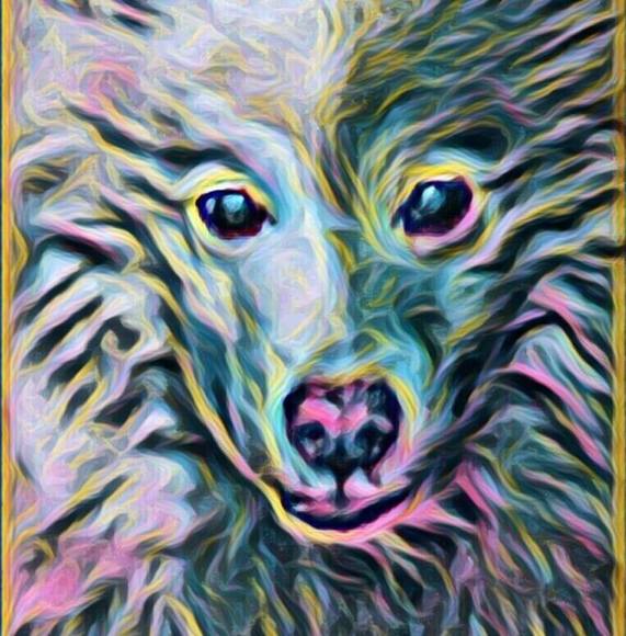 Profile Picture of Kerry Ireland (@mywhitedog13) on Poshmark