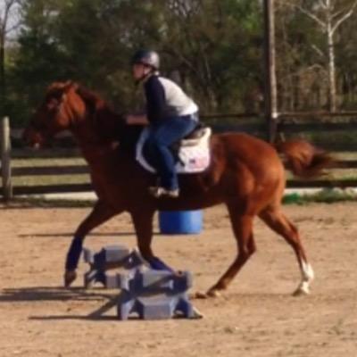 Profile Picture of Grace Camp-Burnett (@anncamp_burnett) on Twitter