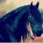 Profile Picture of Mason Mcguire (@_that_guy_me_) on Instagram