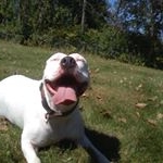 Profile Picture of Paul Schermerhorn (@paul.schermerhorn.10) on Instagram