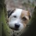 Profile Picture of David Thornley (@david.thornley.507) on Facebook