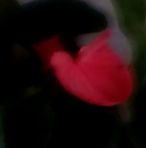 Vianca Delcid - Facebook Profile Picture of Vianca Delcid (@vianca.delcid.31) on Facebook