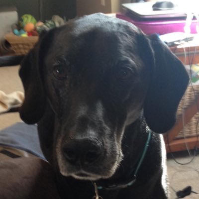 Profile Picture of Kasey (@PrellerKasey) on Twitter