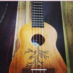 Profile Picture of Kevin Uriel (@arbolesquecantan) on Instagram