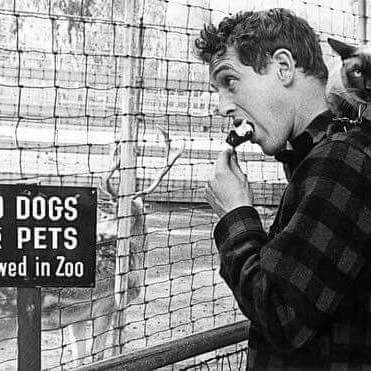 Profile Picture of Tom Hogan (@@tomhog1) on Twitter