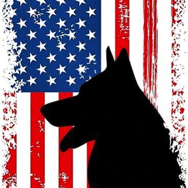 Patrick Mulrane Jr - Tiktok Profile Picture of Patrick Mulrane Jr (@mulrane1) on Tiktok