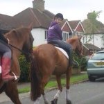 Profile Picture of Alex Zajac (@alexloveshorsesx) on Instagram