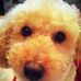 Profile Picture of Motoko Kanetomo (@motoko.kanetomo) on Facebook