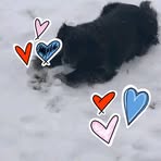 Profile Picture of Matt Rizor (@Matt-Rizor) on Facebook