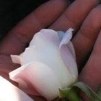 Profile Picture of Michael DeGroot (@michael.degroot.79) on Facebook