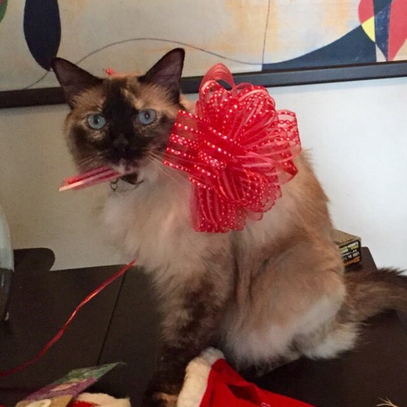 Profile Picture of Luz Blanco (@susycarolina) on Poshmark