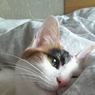 Profile Picture of Mari Takagi (@mari.takagi.1884) on Facebook