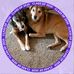 Profile Picture of Steve Trautwein (@Steve-Trautwein) on Facebook