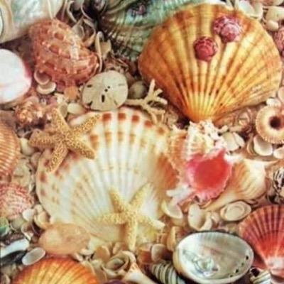 Profile Picture of Kimberly Wunderlich (@krewunder) on Twitter