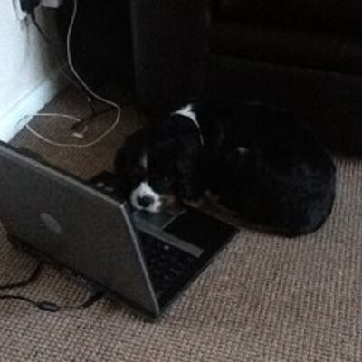 Profile Picture of Carol Upton
 (@@GeordieGirlCaz) on Twitter