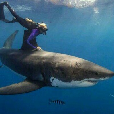 Profile Picture of Joe Putnam (@joeputnam16) on Twitter