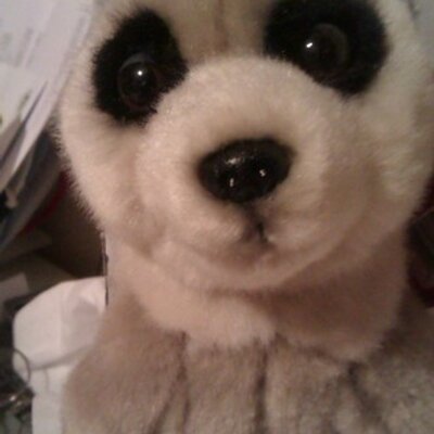 Profile Picture of Janet Pearson (@JanetPearson55) on Twitter