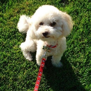 Profile Picture of Timothy Ridgway (@237207261) on Myspace