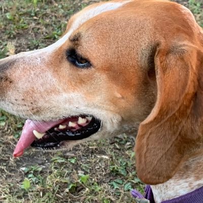 Profile Picture of Marc Peck Sr (@sr_peck) on Twitter