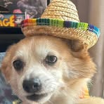 Profile Picture of Dexter Robinson (@dexter.robinson.295649) on Facebook