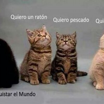 Profile Picture of Pablo Reyna (@colocho_37) on Twitter