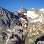 Profile Picture of Sam Hagopian & Willow (@peakbangin) on Instagram